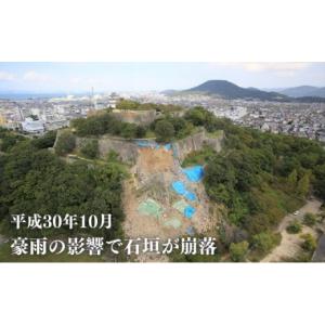 ふるさと納税 認定書・会員証 香川県 丸亀市 ...の詳細画像3