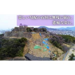 ふるさと納税 認定書・会員証 香川県 丸亀市 ...の詳細画像5