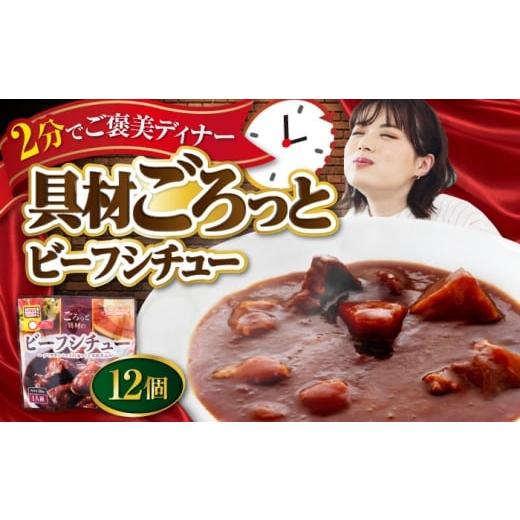 ふるさと納税 加工品等 レトルト 愛媛県 大洲市 San felice ビーフシチュー×12パック　...