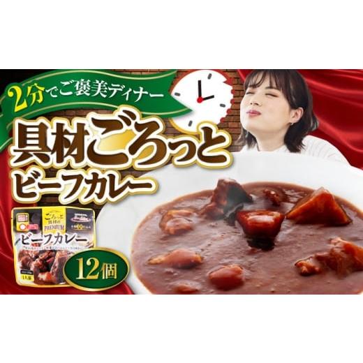 ふるさと納税 加工品等 レトルト 愛媛県 大洲市 San felice ビーフカレー×12パック　愛...