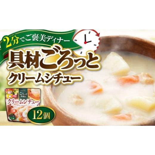 ふるさと納税 加工品等 レトルト 愛媛県 大洲市 San felice　クリームシチュー×12パック...
