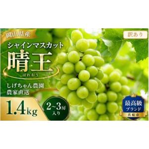 ふるさと納税 ぶどう マスカット 岡山県 真庭市 訳あり品 しげちゃん農園の シャインマスカット「晴王」 1.4kg前後（2〜3房入） 2026年10月上旬〜順次発送 小…