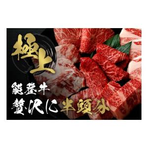 ふるさと納税 牛肉 石川県 羽咋市 能登牛 半...の詳細画像1