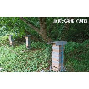 ふるさと納税 加工品等 はちみつ 熊本県 和水...の詳細画像2