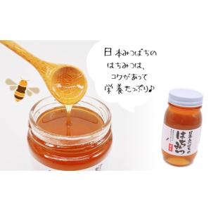 ふるさと納税 加工品等 はちみつ 熊本県 和水...の詳細画像4