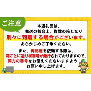 ふるさと納税 水・ミネラルウォーター 500m...の詳細画像4