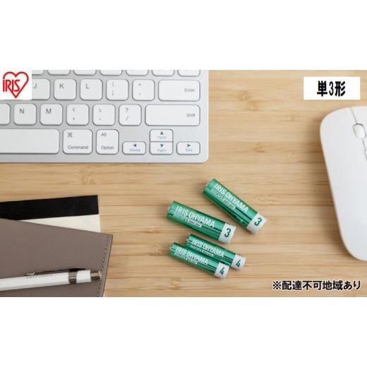 ふるさと納税 防災グッズ 宮城県 大河原町 乾電池 BIGCAPA basic plus アルカリ乾...