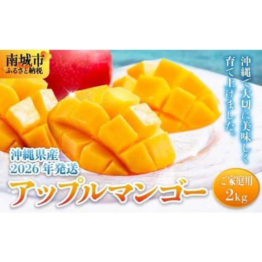 ふるさと納税 マンゴー 沖縄県 南城市  先行予約・数量限定 アップルマンゴー ご家庭用（2kg） ...