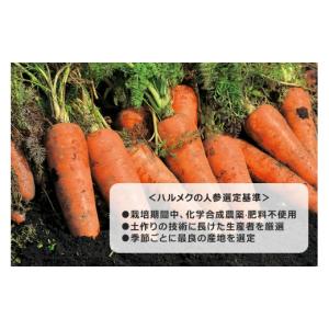 ふるさと納税 果汁飲料 にんじん 青森県 弘前...の詳細画像3