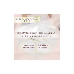ふるさと納税 タオル・寝具 掛け布団 群馬県 ...の詳細画像2