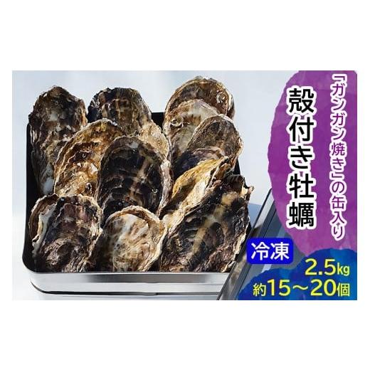 ふるさと納税 牡蠣 広島県 大竹市 オレのガンガン焼き (冷凍殻付) 2.5kg (約15個から20...