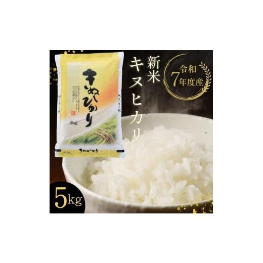 ふるさと納税 米 コシヒカリ 京都府 亀岡市  令和7年産 新米 京都丹波・亀岡産 キヌヒカリ 5k...