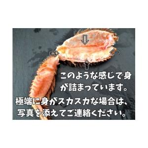 ふるさと納税 カニ 毛ガニ 北海道 広尾町 ボ...の詳細画像2