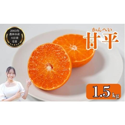 ふるさと納税 みかん・柑橘類 愛媛県 愛南町 先行予約 数量限定 甘平 1.5kg みかん 蜜柑 柑...