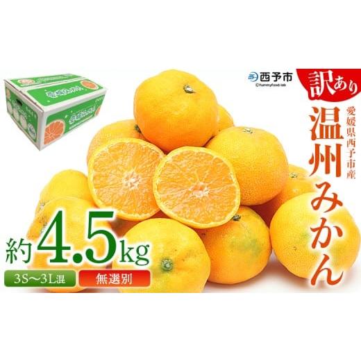 ふるさと納税 果物類 みかん 愛媛県 西予市  愛媛県西予市産 訳あり 無選別 温州みかん 約4.5...