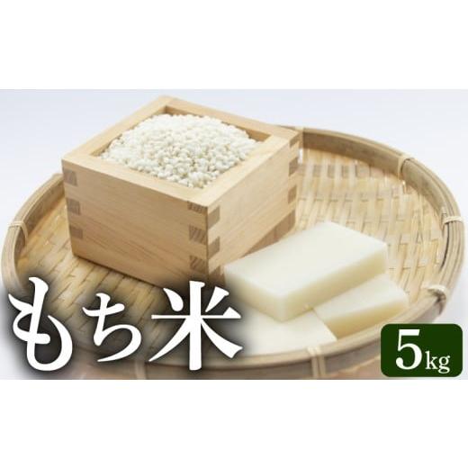 ふるさと納税 もち米・餅 高知県 安芸市 もち米 5kg 5kg