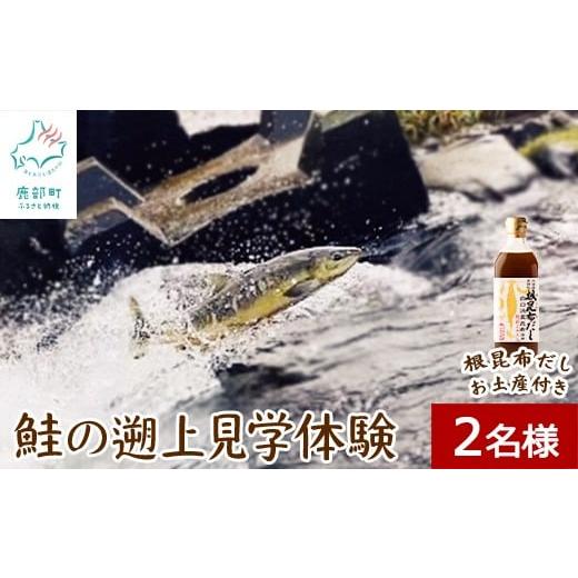 ふるさと納税 体験チケット 北海道 鹿部町  お土産付き 鮭の遡上見学体験 2名様分 根昆布だし お...