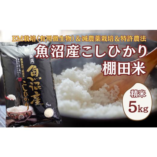 ふるさと納税 米 コシヒカリ 新潟県 小千谷市  令和7年産 農家直送の棚田米 魚沼産コシヒカリ 精...