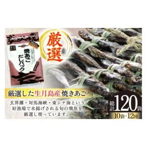 ふるさと納税 塩・だし 長崎県 平戸市 だし ...の詳細画像2