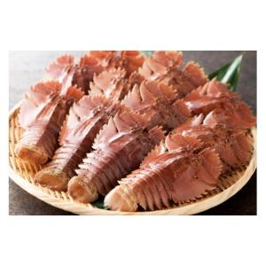 ふるさと納税 旬の鮮魚等 長崎県 平戸市 魚 ...の詳細画像4