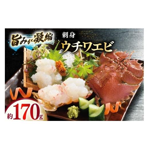 ふるさと納税 エビ 長崎県 平戸市 うちわえび エビ 海老 国産 刺し身 冷凍 ウチワエビ 刺身 約...