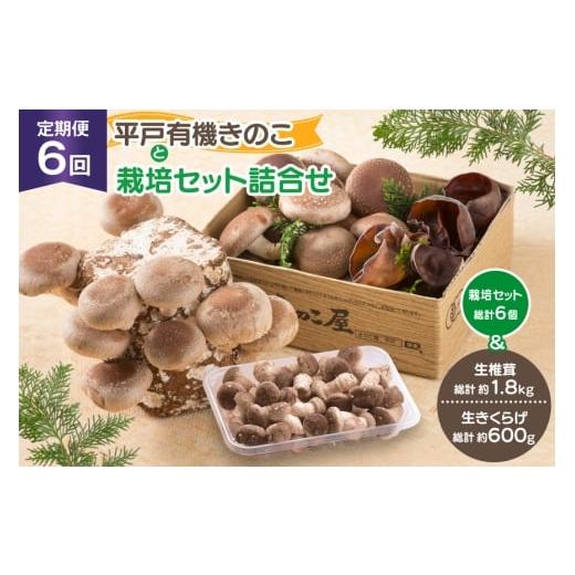 ふるさと納税 野菜類 きのこ 長崎県 平戸市 きのこ しいたけ きくらげ 椎茸菌床 生椎茸 生きくら...