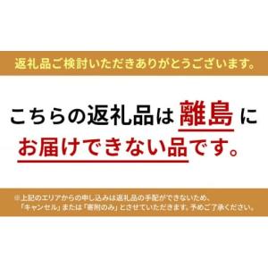 ふるさと納税 スポーツ・アウトドア 神奈川県 ...の詳細画像5