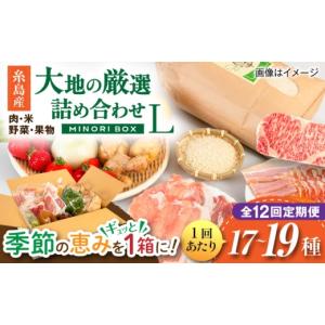 ふるさと納税 米 福岡県 糸島市 全12回定期...の詳細画像1