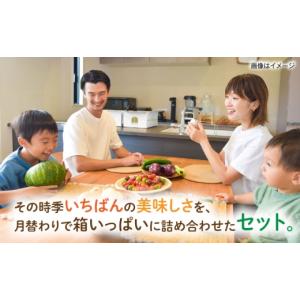 ふるさと納税 米 福岡県 糸島市 全12回定期...の詳細画像2