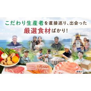 ふるさと納税 米 福岡県 糸島市 全12回定期...の詳細画像3