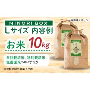 ふるさと納税 米 福岡県 糸島市 全12回定期...の詳細画像4