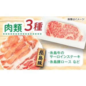 ふるさと納税 米 福岡県 糸島市 全12回定期...の詳細画像5