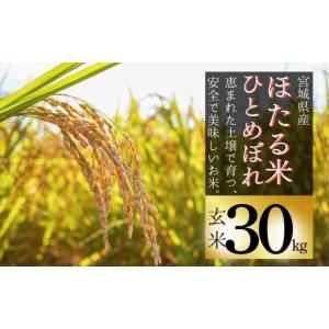 ふるさと納税 米 ひとめぼれ 宮城県 東松島市  先行予約 令和8年産 新米 令和8年10月中旬〜順次発送 ほたる米 ひとめぼれ 玄米 30kg 特別栽培米 宮城県産 お米…