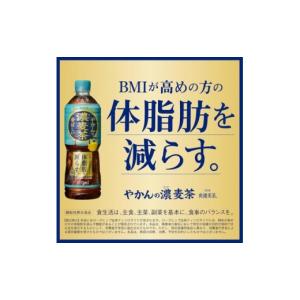 ふるさと納税 お茶類 京都府 久御山町 毎月定...の詳細画像3