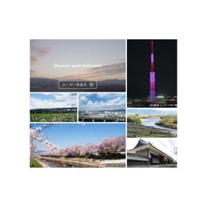 ふるさと納税 お茶類 京都府 久御山町 毎月定...の詳細画像5