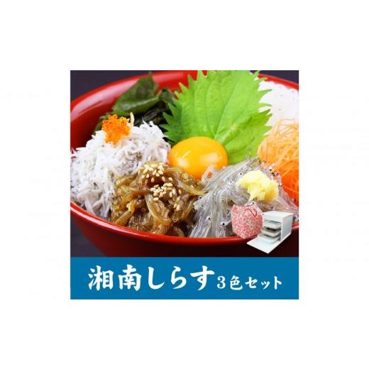 ふるさと納税 魚貝類 しらす 神奈川県 小田原市 湘南しらす　3色セット