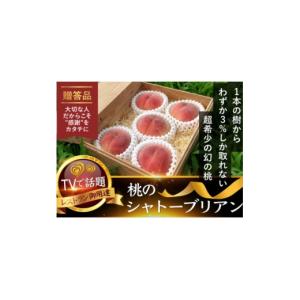 ふるさと納税 もも 山梨県 山梨市 お家で一流レストラン御用達 桃通を唸らせる『幻のシャトーブリアン桃』2026年8月下旬より順次発送 1676994