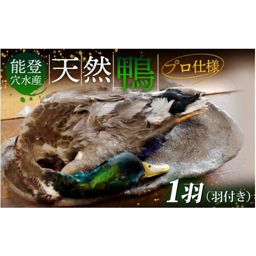 ふるさと納税 鴨肉 石川県 穴水町 能登 穴水産 天然「鴨」（羽付き）1羽 | 奥能登 能登半島 か...