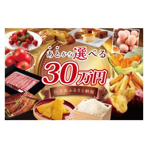 ふるさと納税 カタログ 茨城県 行方市  あとから選べる 茨城県行方市ふるさとギフト 寄附額：30万...