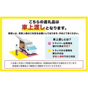 ふるさと納税 スポーツ・アウトドア 岐阜県 瑞...の詳細画像5