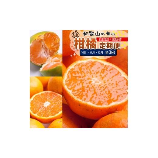 ふるさと納税 みかん・柑橘類 和歌山県 和歌山市 家庭用 柑橘定期便S（10〜12月）全3回 ［IK...