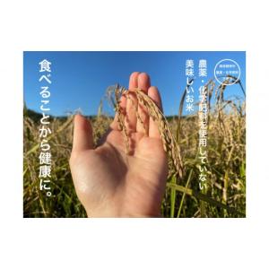 ふるさと納税 米 石川県 金沢市 12ヶ月定期...の詳細画像2