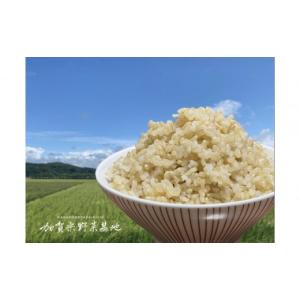 ふるさと納税 米 石川県 金沢市 12ヶ月定期...の詳細画像3