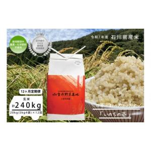 ふるさと納税 米 石川県 金沢市 12ヶ月定期便 お米番付優秀賞受賞農家 日本一粒の大きいお米『いのちの壱』玄米20kg×12回