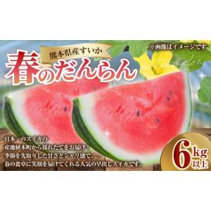 ふるさと納税 スイカ 熊本県 - 熊本県産 す...の詳細画像1