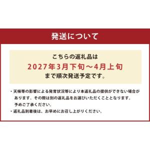 ふるさと納税 スイカ 熊本県 - 熊本県産 す...の詳細画像2