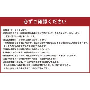 ふるさと納税 スイカ 熊本県 - 熊本県産 す...の詳細画像3