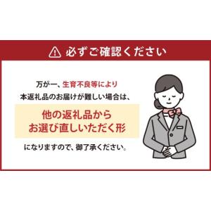 ふるさと納税 スイカ 熊本県 - 熊本県産 す...の詳細画像4