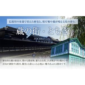 ふるさと納税 体験チケット 栃木県 栃木市 岩...の詳細画像3