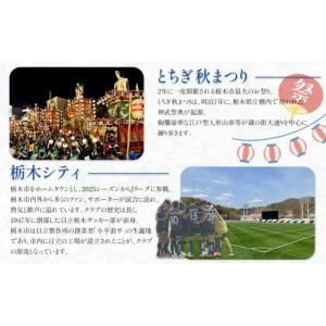 ふるさと納税 体験チケット 栃木県 栃木市 岩...の詳細画像4